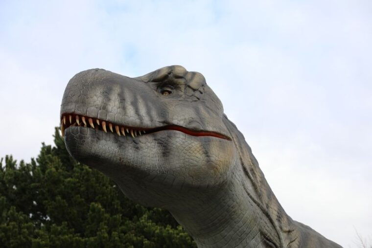 edinburgh-zoo-entrance-ticket