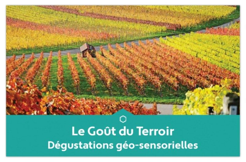 educational-tasting-of-3-champagnes-from-winegrowers