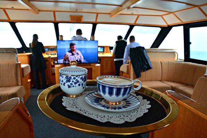 Educational Whale Watching Tour from Perth - Analyzing the Experience