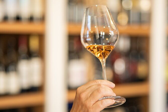 educational-wine-tasting-in-split