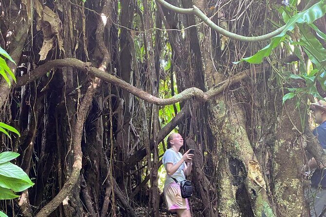 Efate Highlights: Village Walk, Coffee Tasting & Beach Chill - The Sum Up