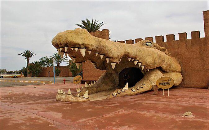 Effortless Agadir Crocoparc Ticket and Transfer Service - What to Expect from Your Crocoparc Tour