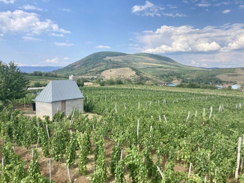 eger-countryside-culture-and-wine-private-tour
