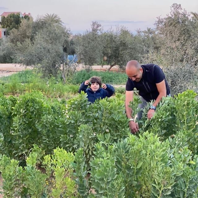 Egypt Countryside day tour - Authenticity and the Value of This Experience