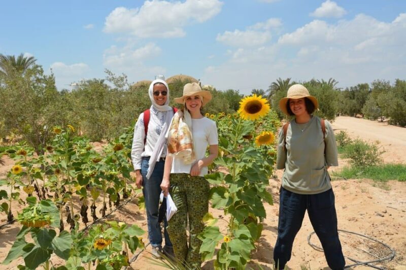 Egypt Countryside day tour - The Sum Up: Why This Tour Is a Great Choice