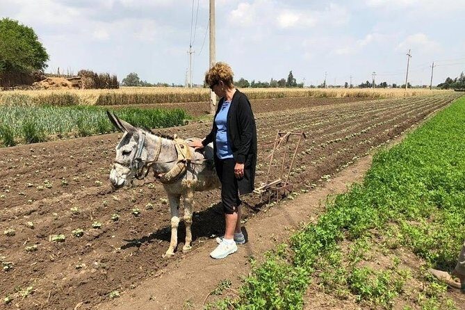 Egypt Day tour in countryside - Key Points