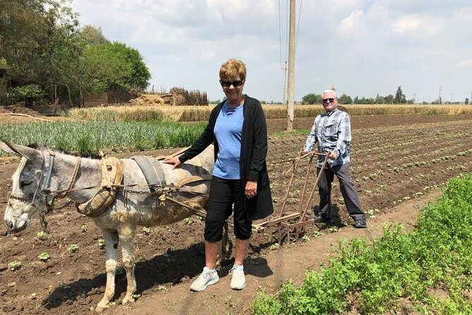 Egypt Day tour in countryside - Transportation and Timing: Why It Works