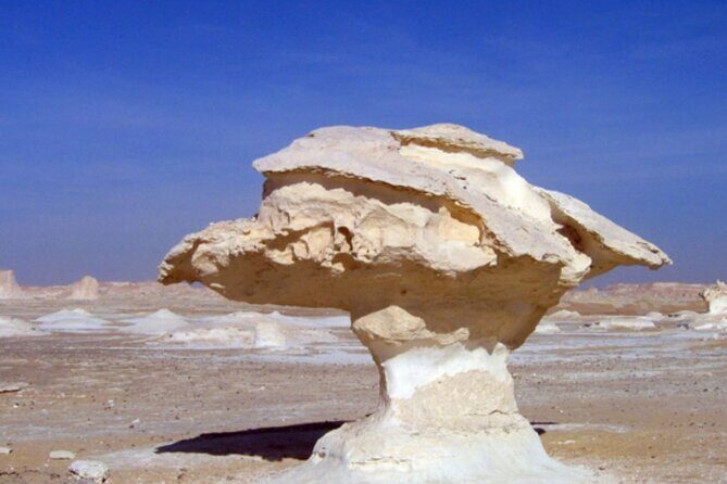 Egypt Desert Safari from Luxor Private - Final Thoughts