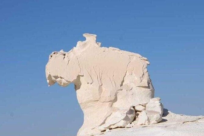 Egypt White Desert [2days / 1 Night] - What Travelers Say: Highlights from Reviews