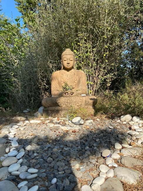 Ehrwald: Time to Relax-Yoga meets Mountain Tour - An Overview of the Ehrwald Mountain Yoga Experience