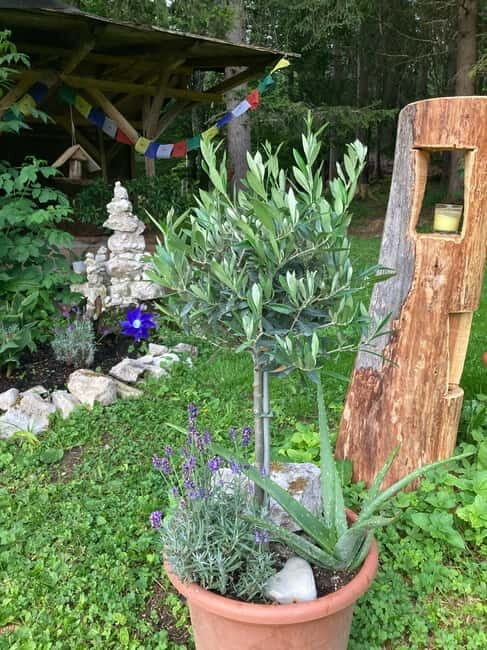 Ehrwald: Time to Relax-Yoga meets Mountain Tour - The Sum Up