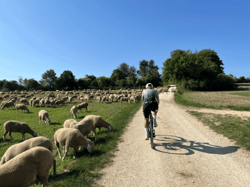 eichstatt-interactive-bike-tour-travel-through-history