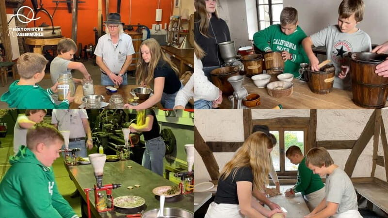 Eifel: Admission to the Birgel Historic Watermill Technology Museum - Key Points