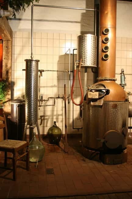 Eifel: Guided tour of historic watermill in the Vulkaneifel region - Key Points