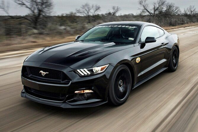 eiffel-tower-with-private-pick-up-from-your-hotel