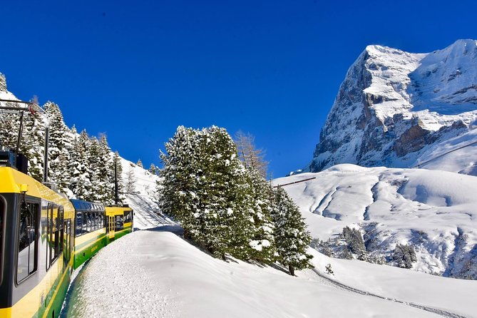 eiger-and-jungfrau-glacier-panorama-tour-from-zurich