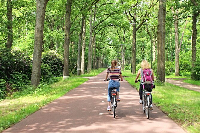 eindhoven-guided-bicycle-tour-of-the-highlights-of-eindhoven
