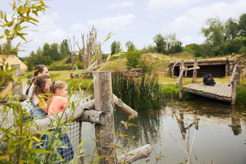 eindhoven-zoo-entry-ticket