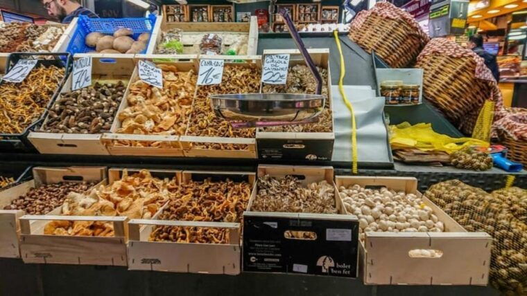 el-born-barcelona-group-tour-tastings-of-catalonia-cuisine