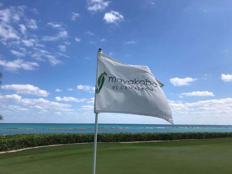 El Camaleon Mayakoba Golf Course | Tee time - Why This Tour Is Worth Considering  