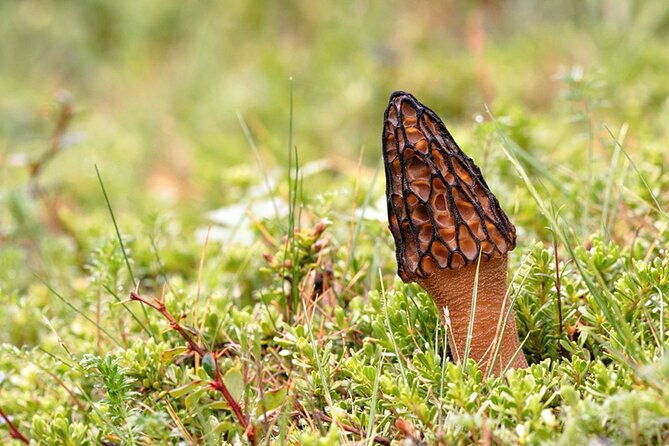 el-chalten-full-day-trekking-to-loma-del-pliegue-tumbado