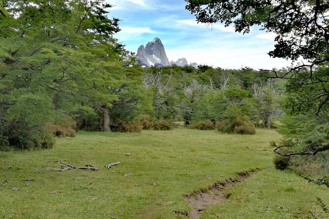 el-chalten-full-day-trekking-to-loma-del-pliegue-tumbado