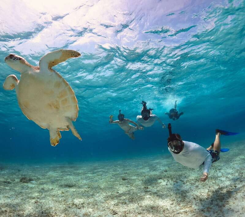 El Cielo Cozumel private snorkel tour - What to Expect from the El Cielo Cozumel Private Snorkel Tour