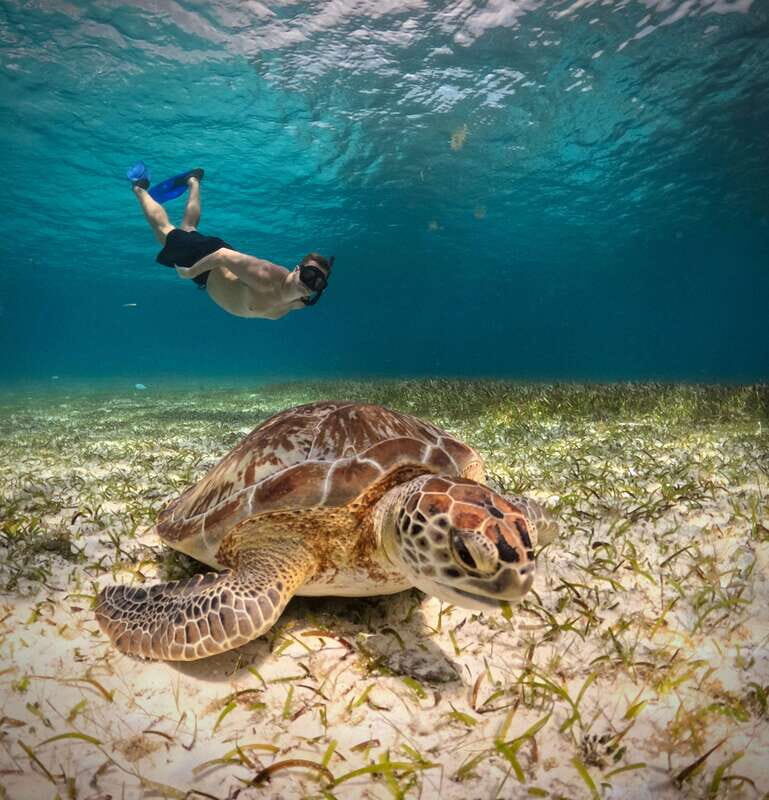 El Cielo Cozumel private snorkel tour - FAQ