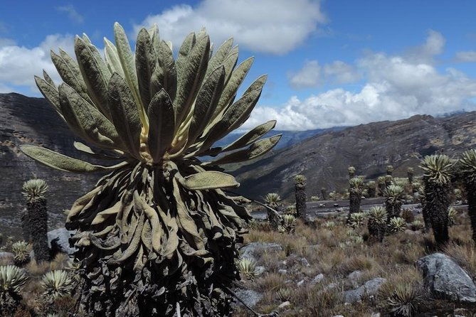 el-cocuy-national-park-3-day-hike-from-bogota