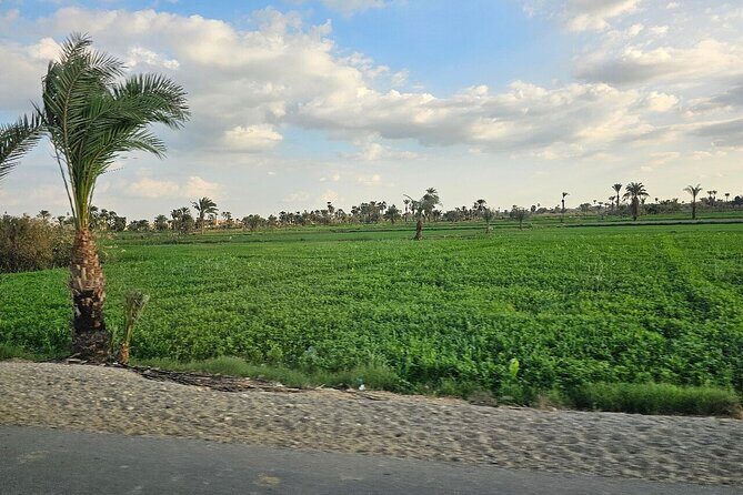 El Fayoum Oasis and Wadi Rayan Waterfall Private Tour from Cairo - FAQ