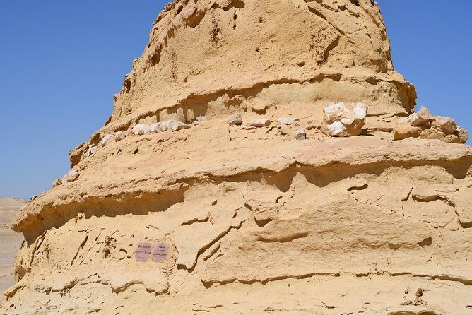 El Fayoum, Wadi El-Hitan & Wadi El-Rayan Day Trip from Cairo - The Sum Up