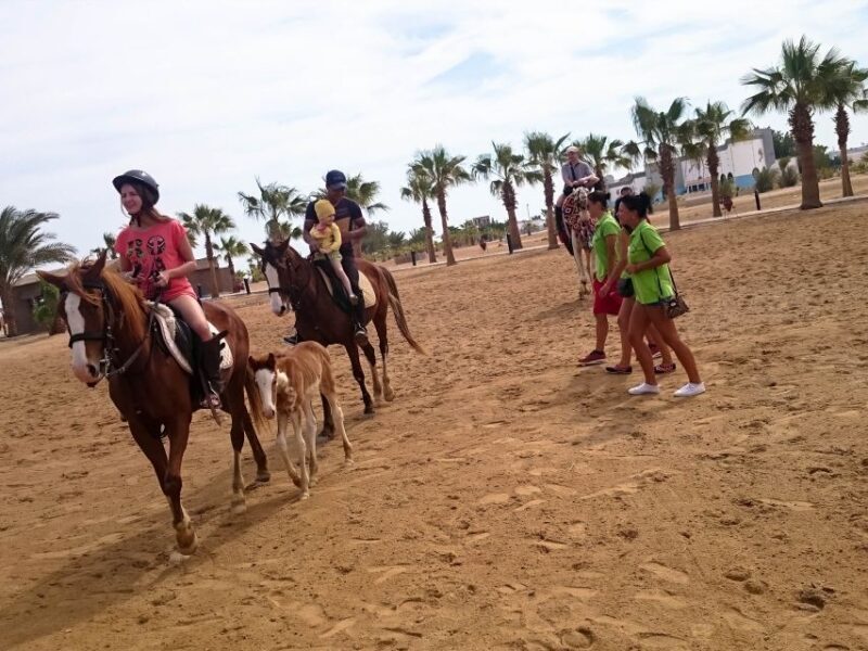 El Gouna: Desert & Sea Horse Riding With Swimming Optional - A Closer Look at the Experience  