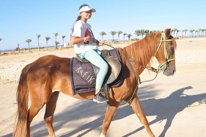 El Gouna Horse Ride Tour - What to Expect from the El Gouna Horse Ride Tour