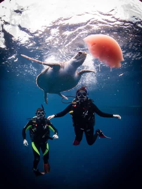 El Nido: Deep Blue Dive Seafari Experience - What’s Included and What You Need to Know