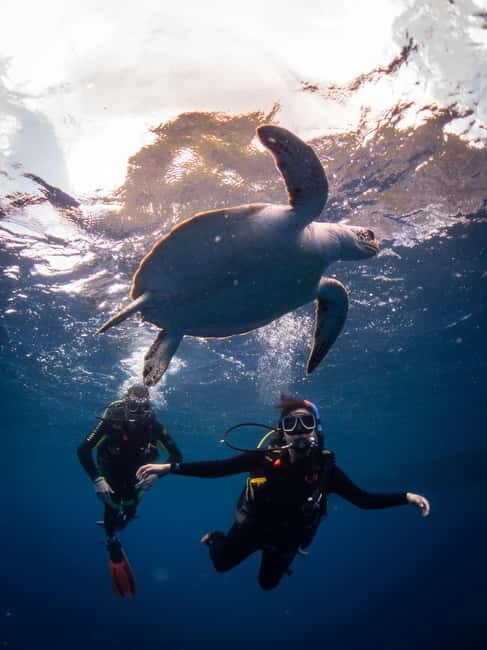El Nido: Deep Blue Dive Seafari Experience - Detailed Breakdown of the Tour Experience