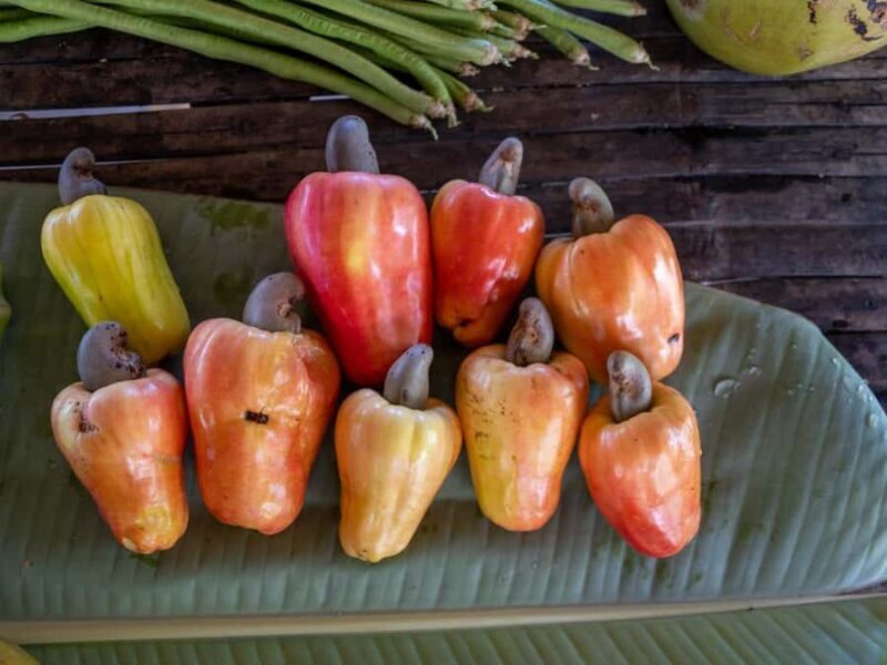 El Nido: Farm Tour, Snorkeling, Dinner, and Nipa Hut Stay - Key Points