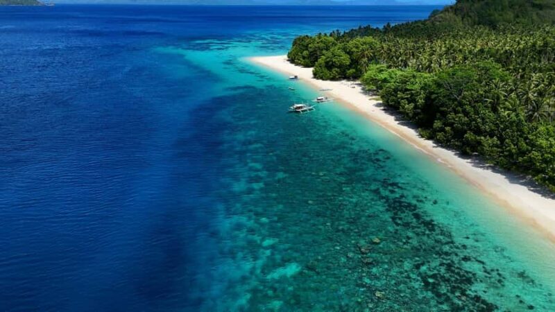 El Nido: Farm Tour, Snorkeling, Dinner, and Nipa Hut Stay - A Deep Dive into the Experience