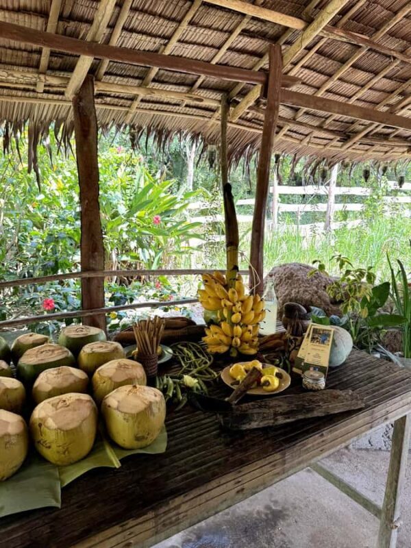 El Nido: Farm Tour, Snorkeling, Dinner, and Nipa Hut Stay - FAQ