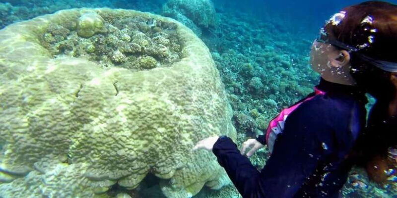 el-nido-island-hopping-tour-b-cudognong-cave-more