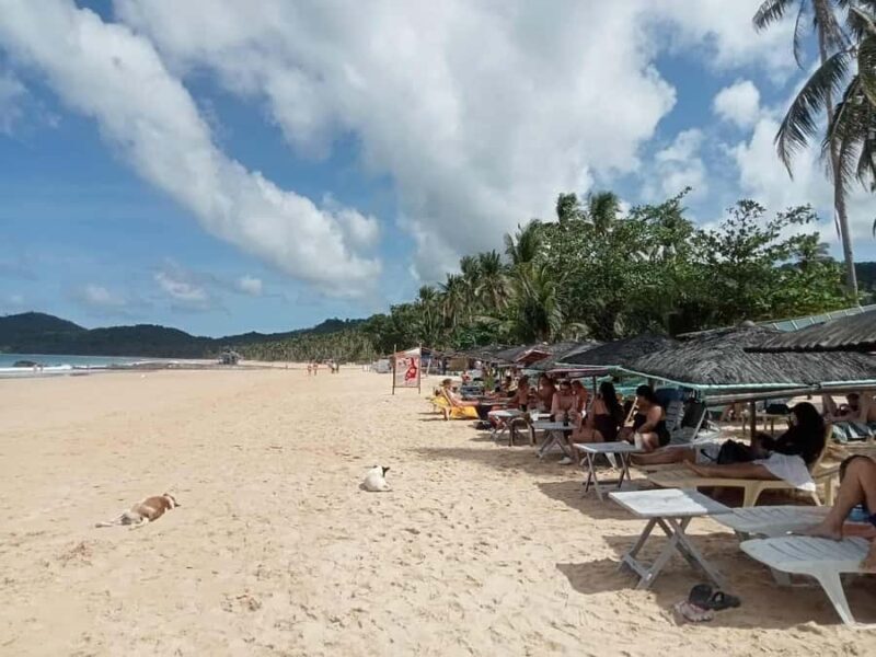 EL Nido: Lio Beach & Nacpan Twin Beach Day Tour - Who Will Love This Tour?