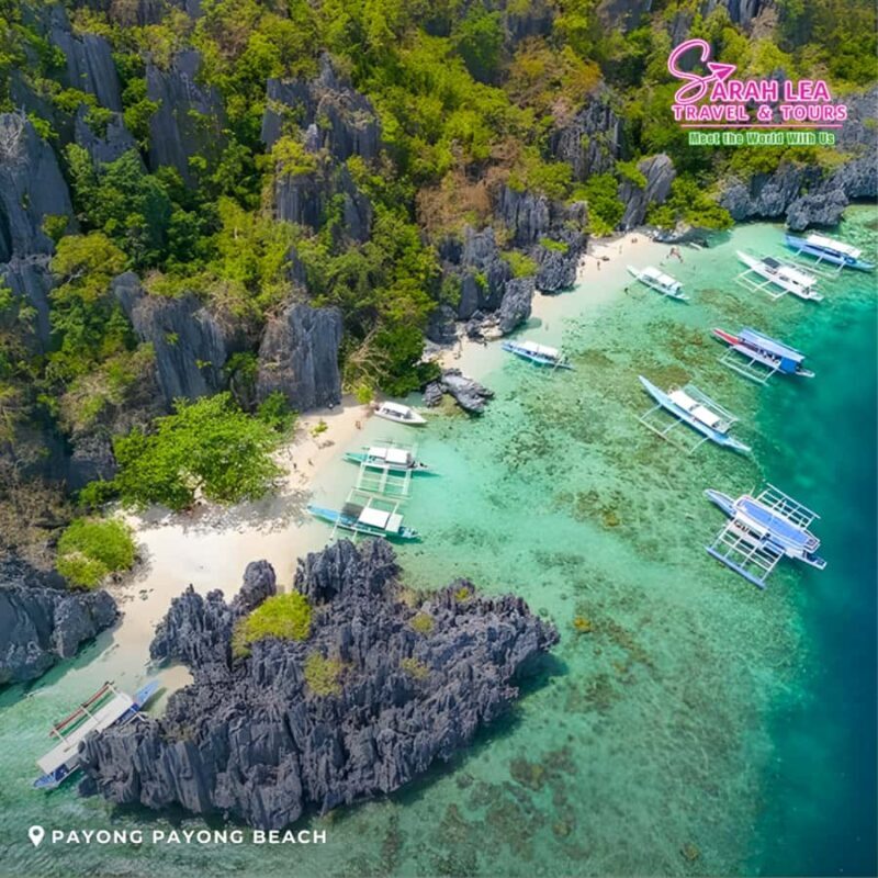 El Nido: Premium Adventure Island Hopping Cruise - What Makes This Tour Stand Out?