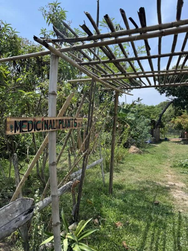 El Nido, Sibaltan: Local Organic Farm Tour & Product Tasting - Additional Experiences and Activities
