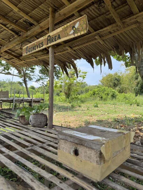El Nido, Sibaltan: Local Organic Farm Tour & Product Tasting - Who Will Love This Experience?