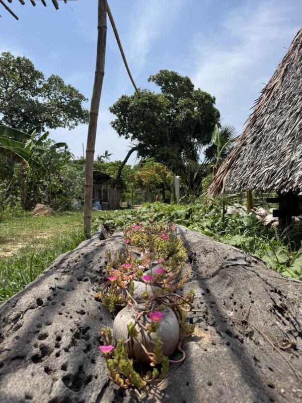 El Nido, Sibaltan: Local Organic Farm Tour & Product Tasting - Frequently Asked Questions