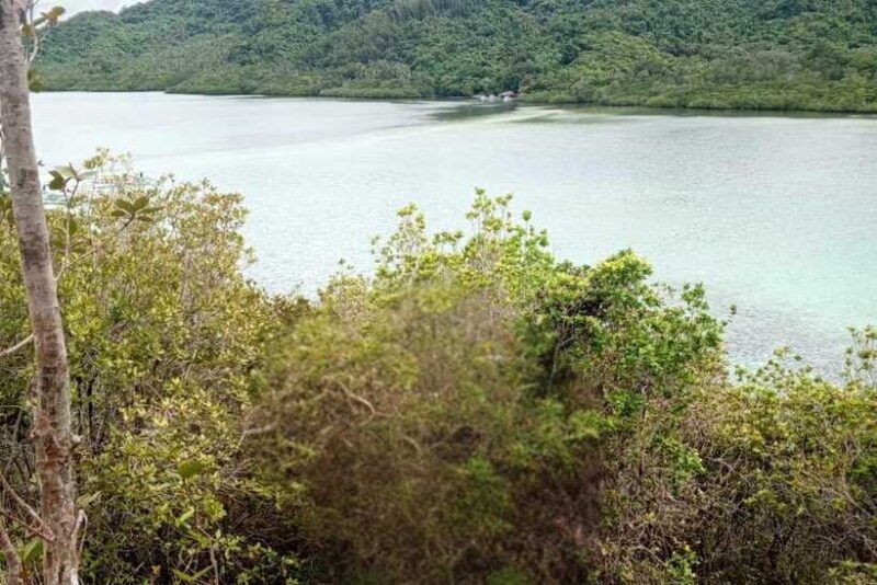 el-nido-tour-b-with-snake-island-cudugnon-cave-and-more