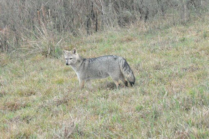 el-palmar-national-park-admission-ticket