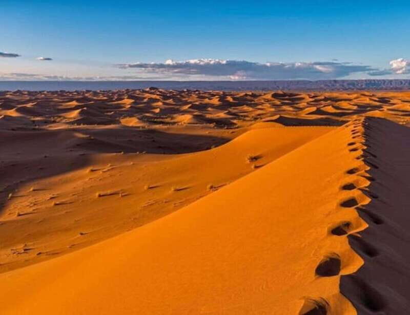 El pinacate: 4-day tour of the craters and Altar desert - Key Points