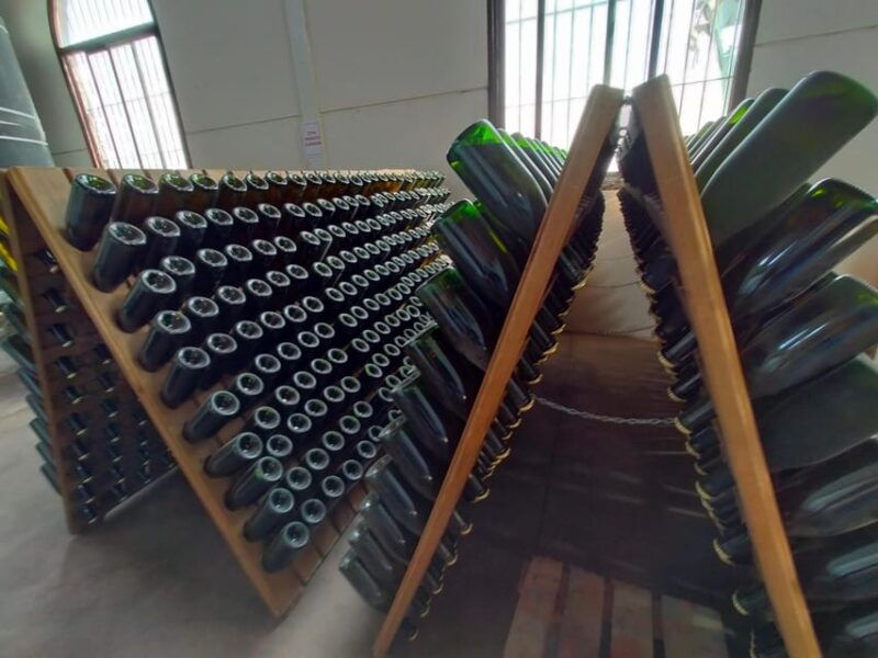 el-puerto-de-santa-maria-winery-and-tasting