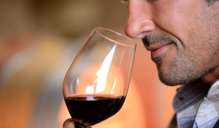 el-puerto-de-santa-maria-winery-and-tasting