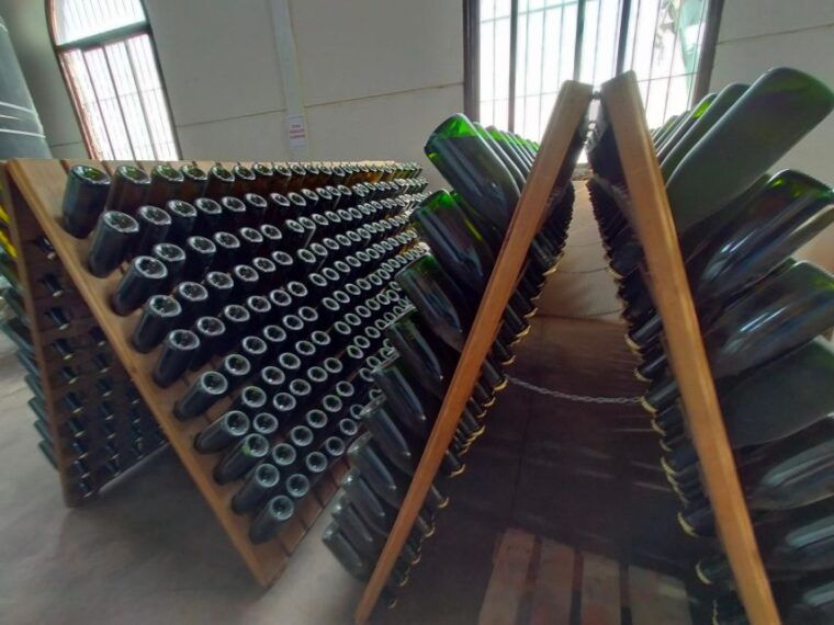 el-puerto-de-santa-maria-winery-and-tasting